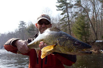 muskegon walleye