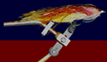 bass_fly