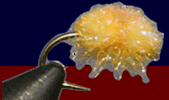 egg