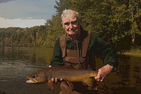 brown_trout